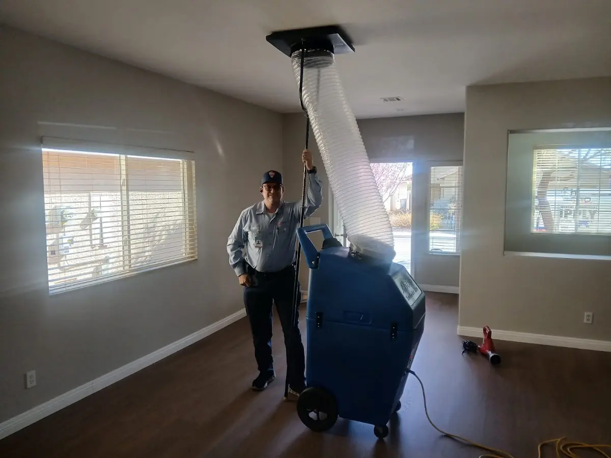 Professional Dryer Vent Cleaning work inside a Long Grove home